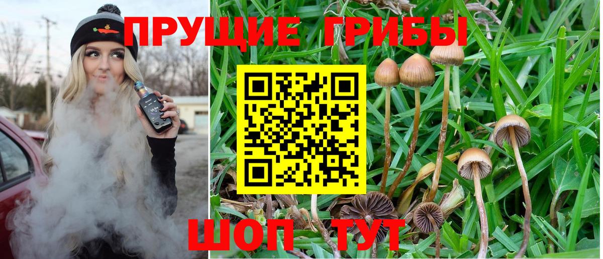 Псилоцибиновые грибы Cubensis  Галлюциногенные грибы мухоморы  Вход с VPN  Бор 