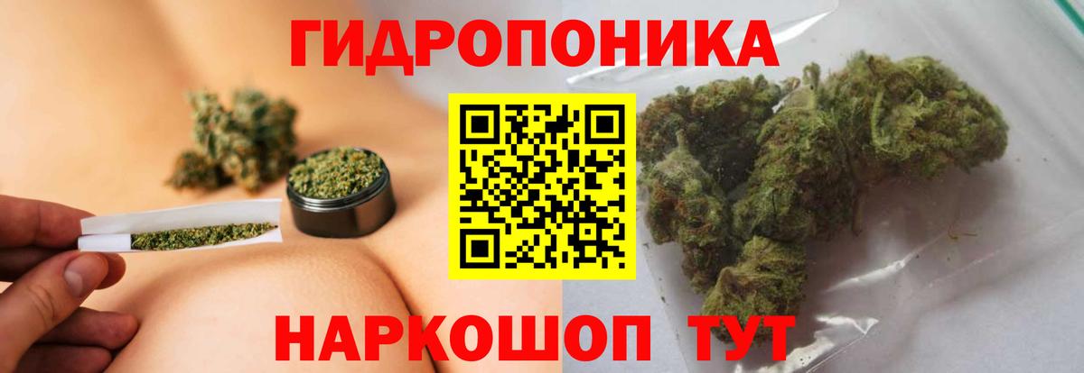 Канабис OG Kush  Шишки марихуана план  Вход с VPN  Бор 